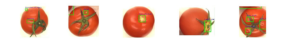 J9����վ���á�Ψһ���ٷ���վ