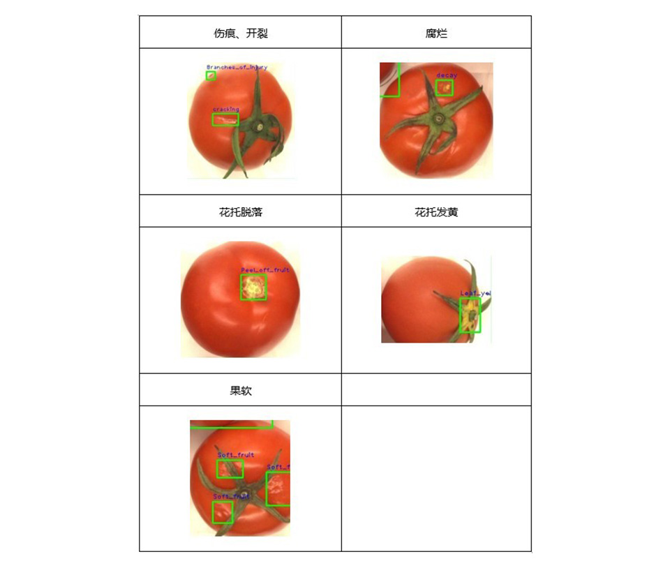 J9����վ���á�Ψһ���ٷ���վ
